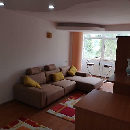 Central Apartament 프레데알 외부 사진