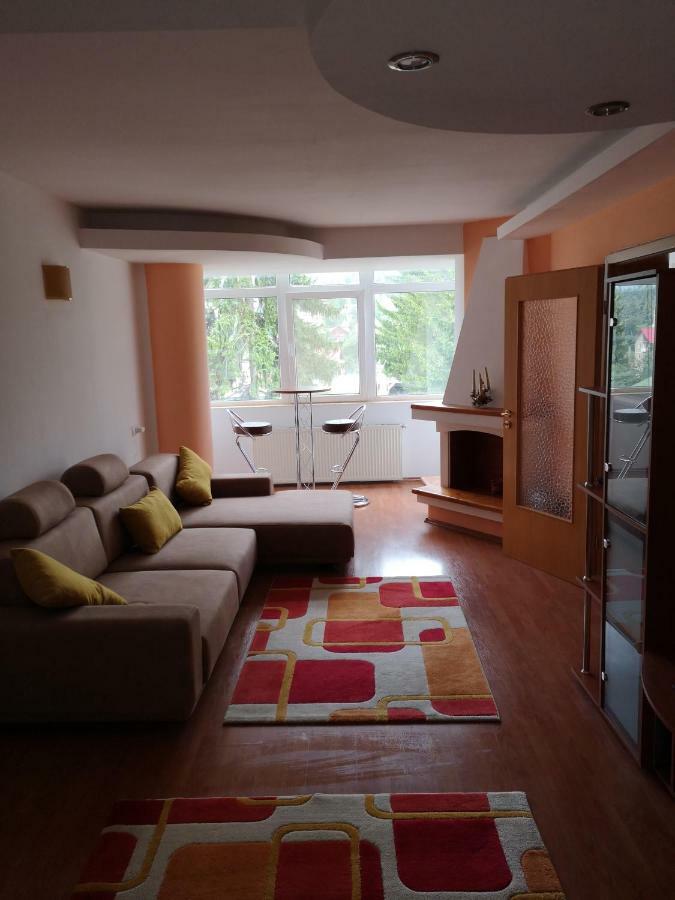 Central Apartament 프레데알 외부 사진